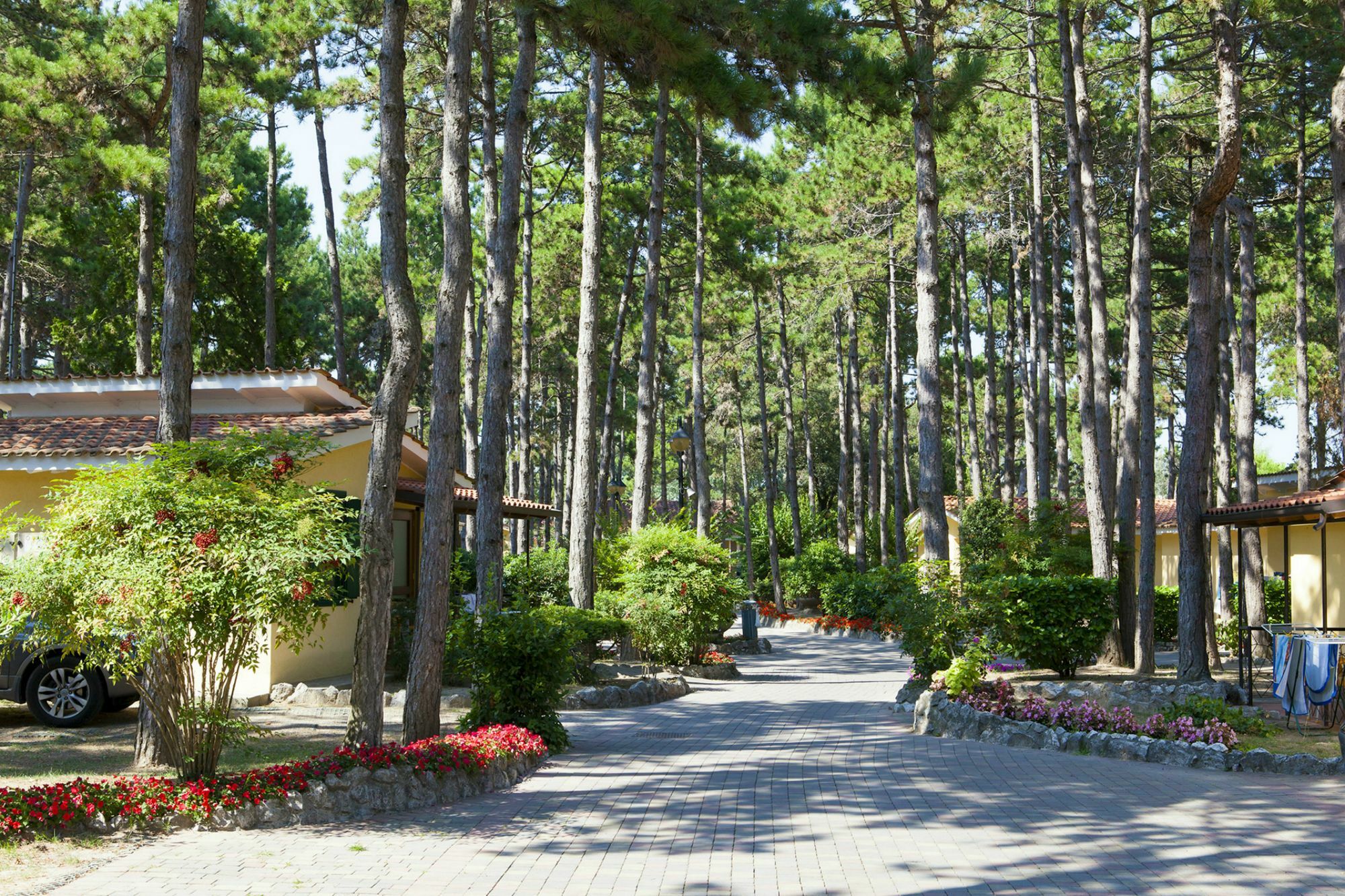 Villaggio Turistico Internazionale Бібіоне Екстер'єр фото